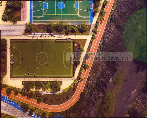柱状图显示12国联赛数据量，直观展示平台覆盖范围